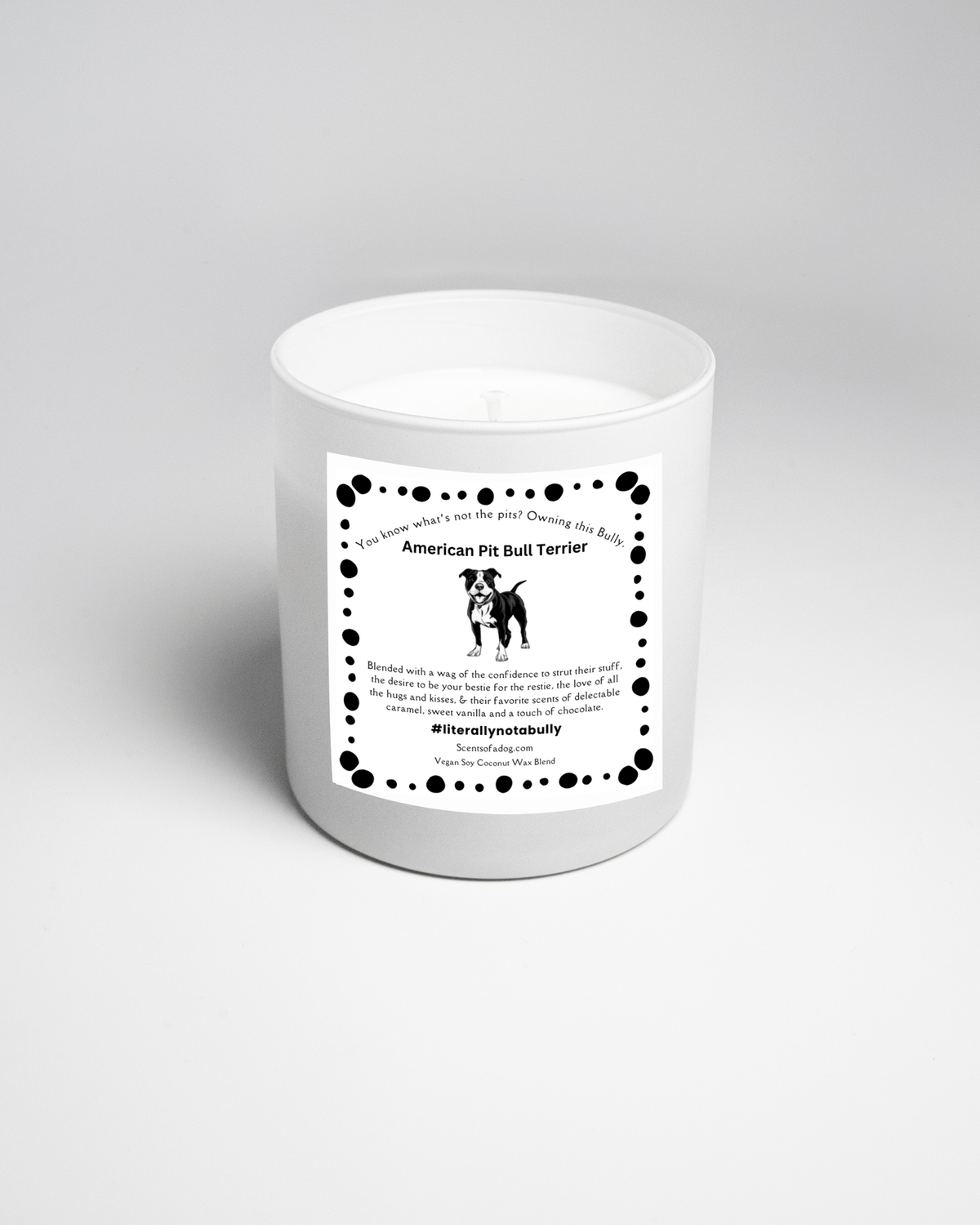 American Pit Bull Terrier