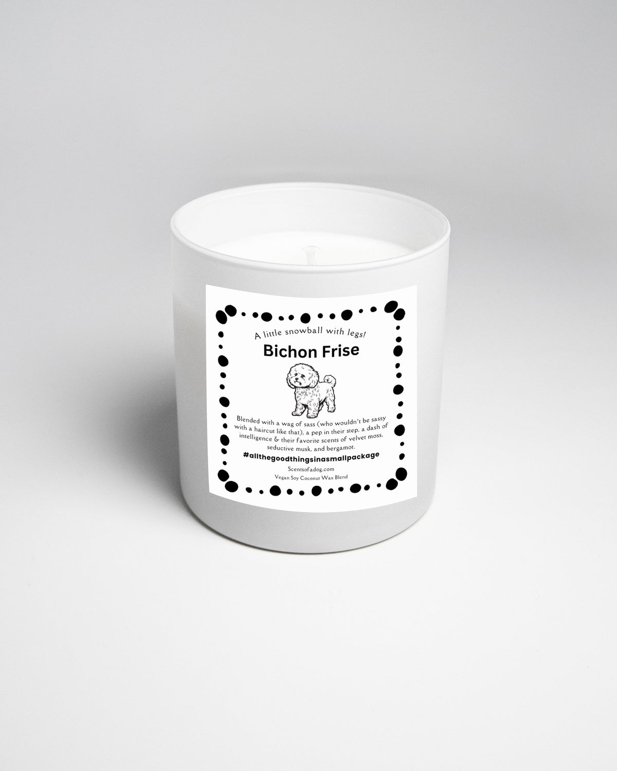 Bichon Frise