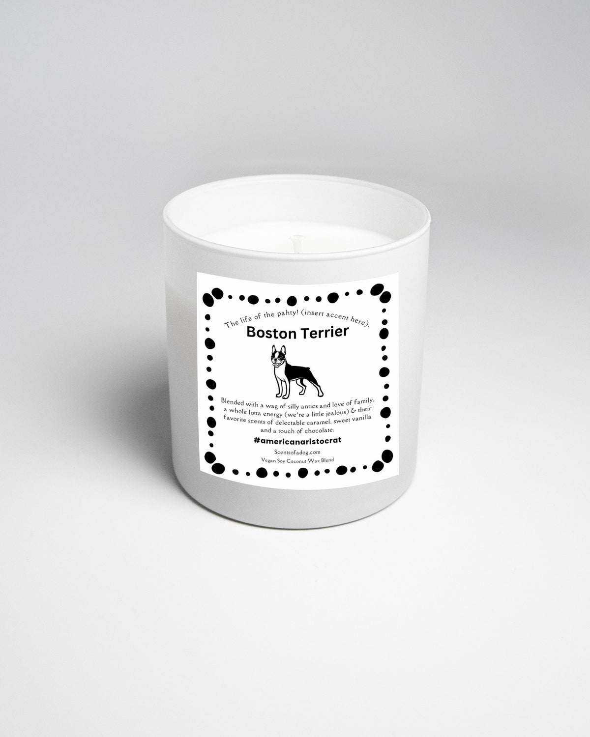 Boston Terrier