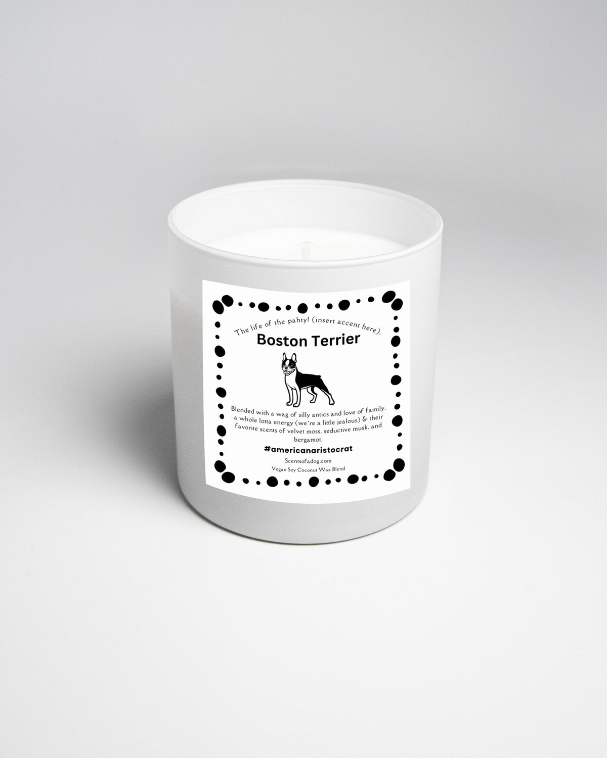 Boston Terrier