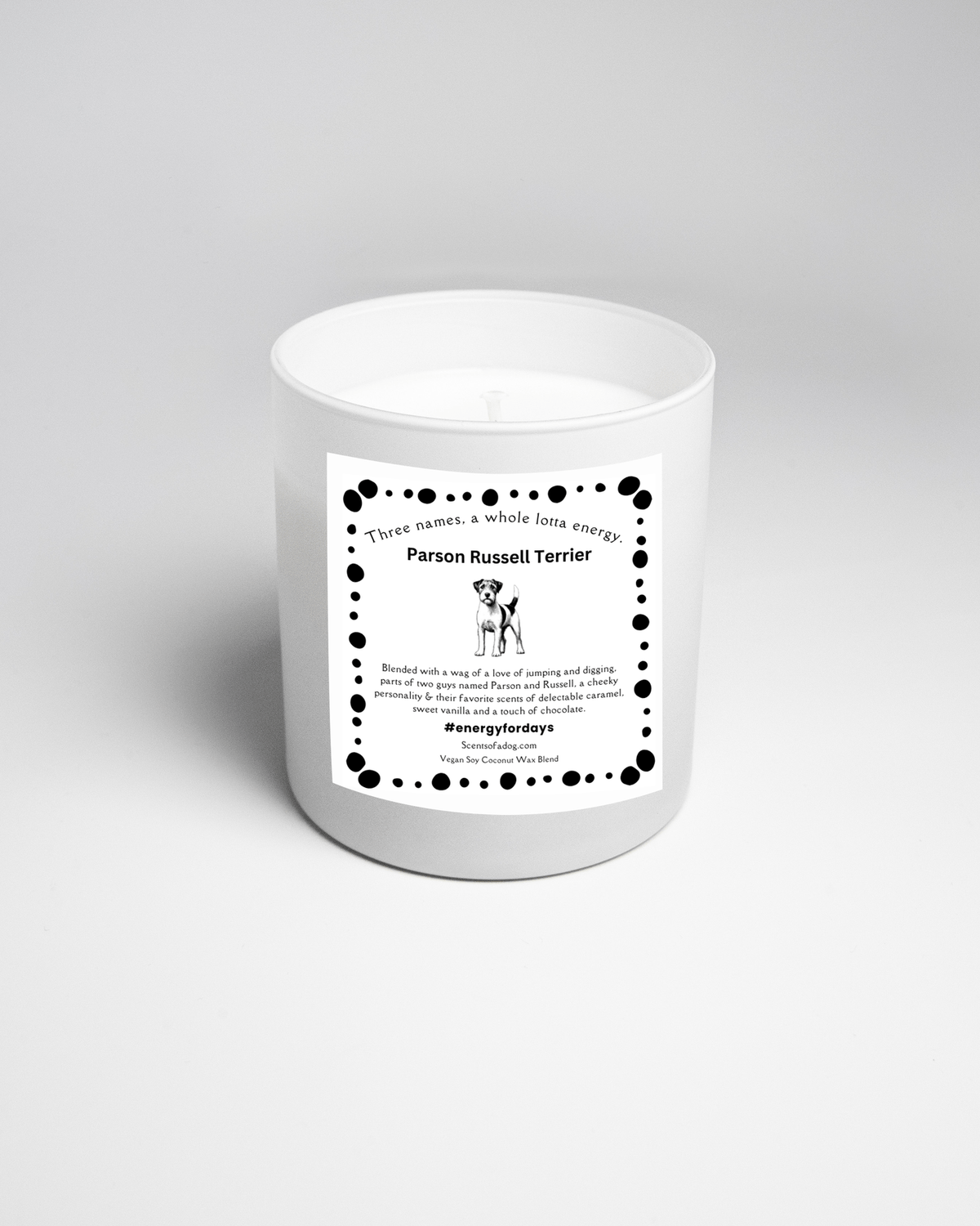 Parson Russell Terrier